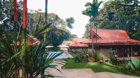 Private jungle oasis. You have access to the entire property