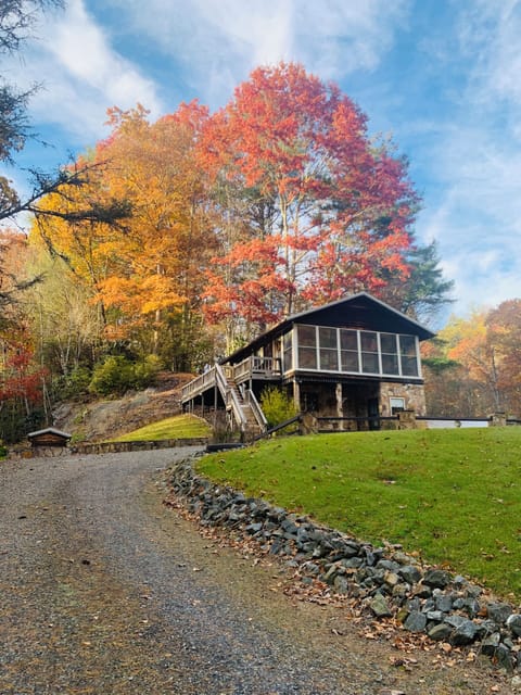 Fall leaf change