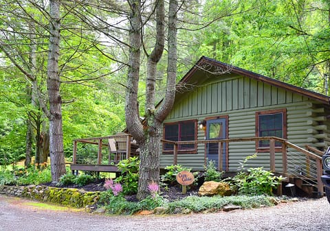 Cozy Cabin Exterior surrounded by lush greenery