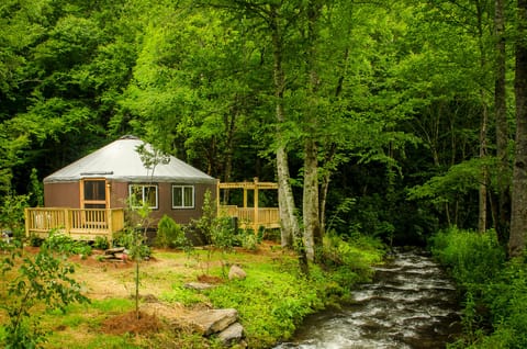 Wake up in nature without giving up the luxury.