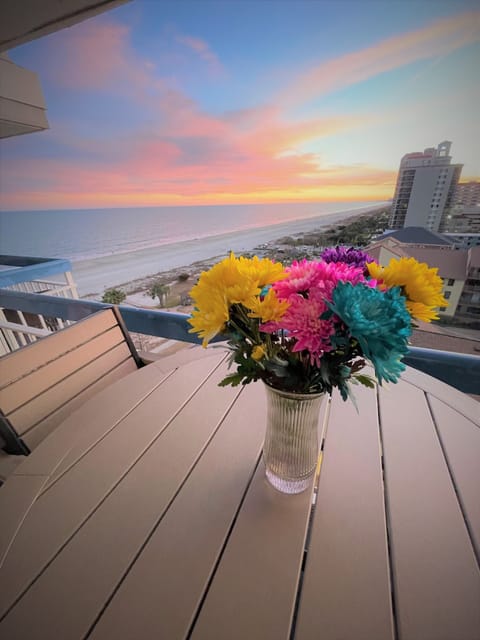 Terrace view