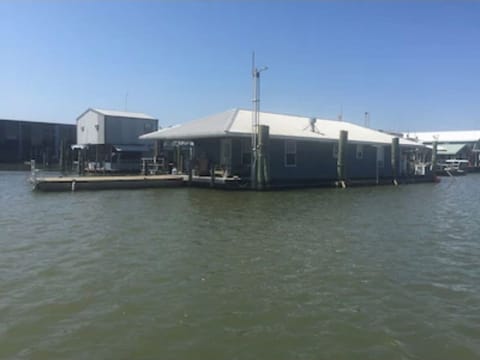 The Pearl 