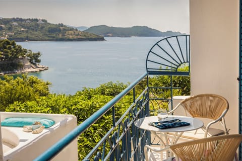 Superior Room | View from room
