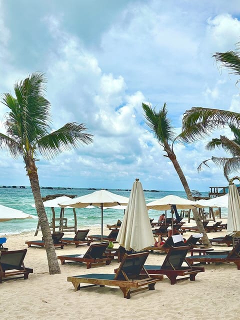 On the beach, white sand