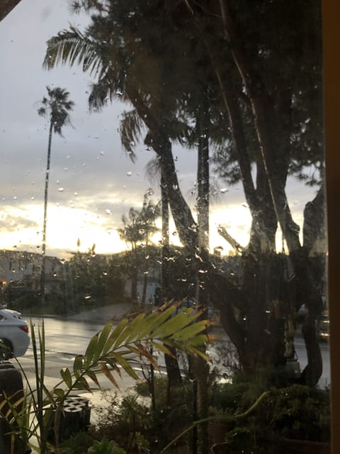 View from front window during a rain storm.