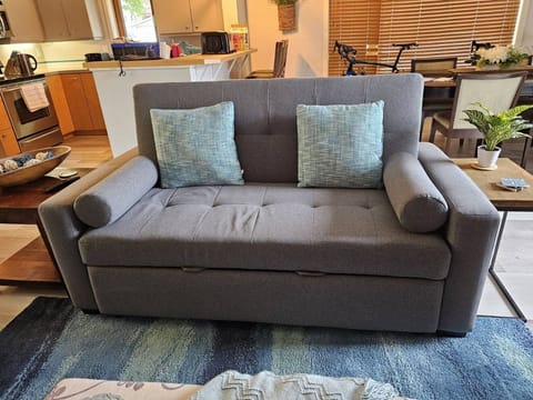 Futon Sleeper Sofa