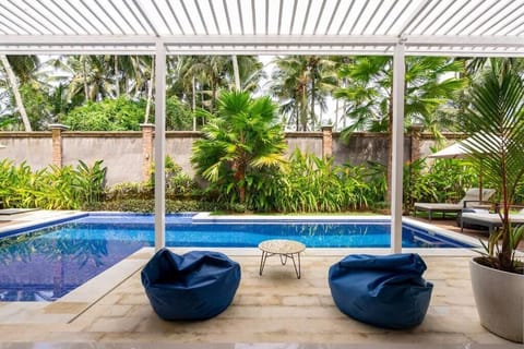 view surrounding by coconut tree