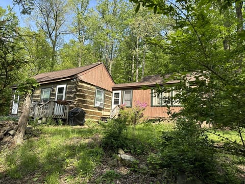 Cabin in Springtime