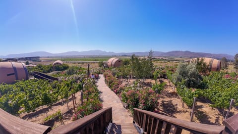 Deluxe Cabin | Individually furnished, free WiFi