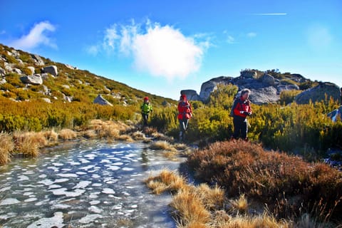 Hiking