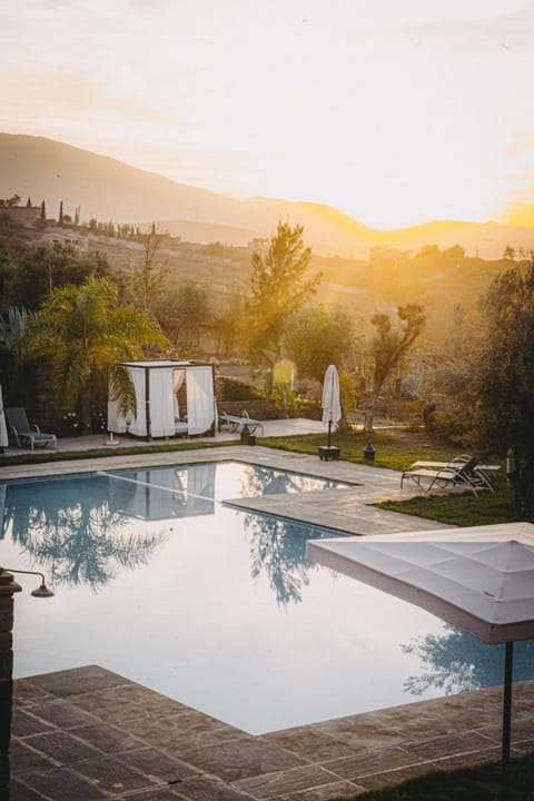 Outdoor pool, sun loungers