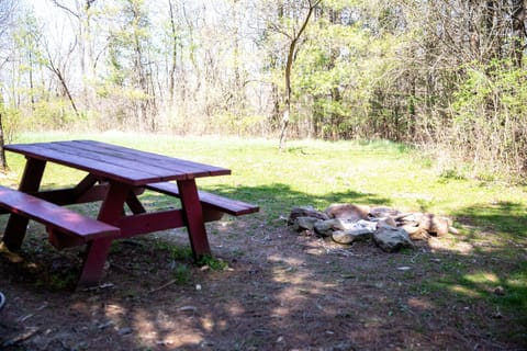 Private firepit and picnic table