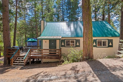 Welcome to Cabin #5