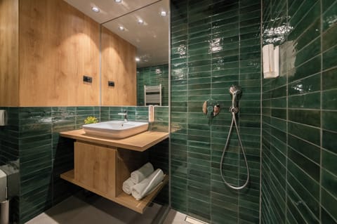 Shower, hair dryer, bathrobes, slippers