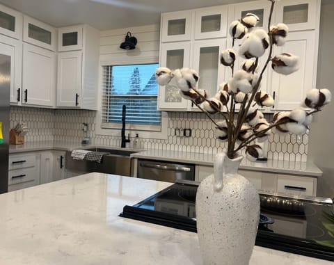 New kitchen with sparkling quartz countertops, new appliances, custom cabinets