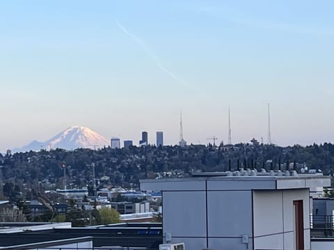 Roof top view of Mt Rainier and DT SeattIe