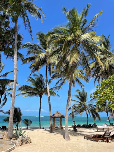 Beach/ocean view