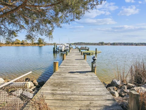 Pier