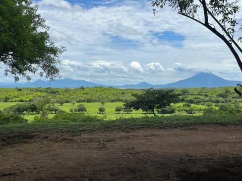 Views from your cottage