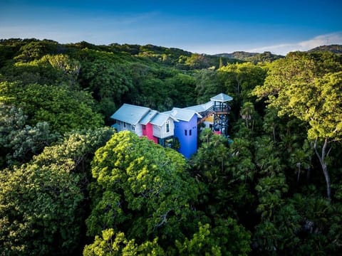 Your own slice of paradise, tucked into Roatán's tropical jungle