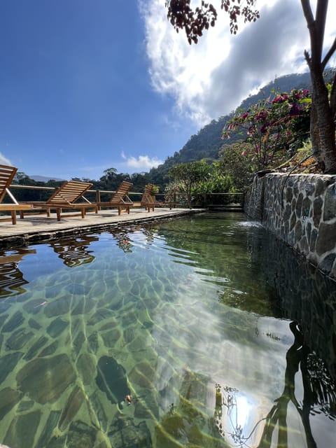 Outdoor pool, open 9:00 AM to 6:00 PM, sun loungers