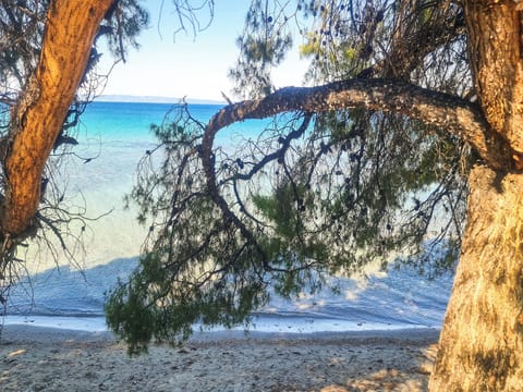 Apartment, 4 Bedrooms, Balcony, Ocean View | Beach