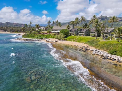Condo, 2 Bedrooms | Beach | On the beach