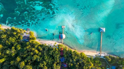 On the beach, sun loungers, beach towels, snorkeling