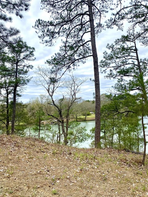 Lake view