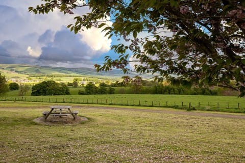 Views from airhouses