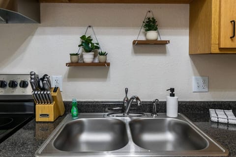 Succulents add a special touch to any room!