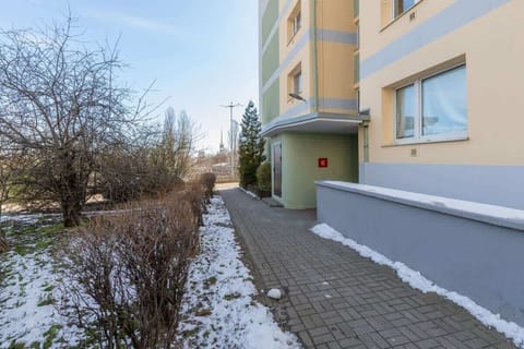 The building's surroundings.