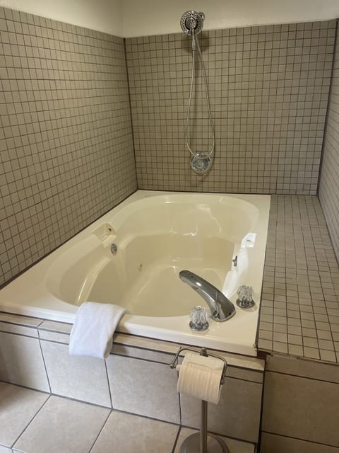 Luxury Studio Suite | Bathroom