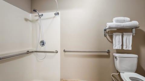 Combined shower/tub, free toiletries, hair dryer, towels