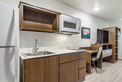 Full-size fridge, microwave, stovetop, freezer