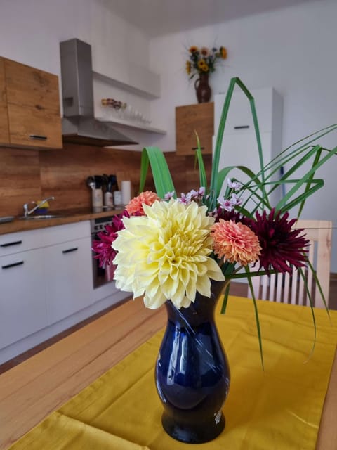 Blick aus Essecke in der Küche