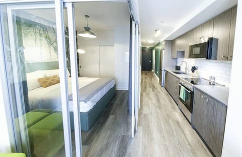 Basic Apartment | Living area | 55-inch Smart TV with digital channels, TV, streaming services
