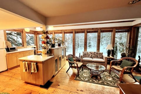 Sitting area and kitchen. overlooking the rear yard with pond