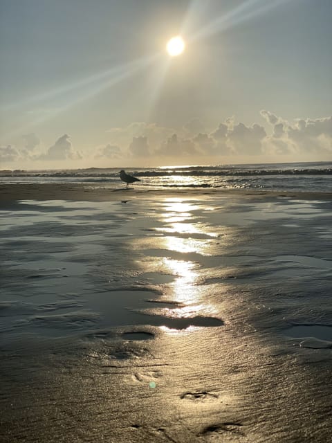 Relax on the beach