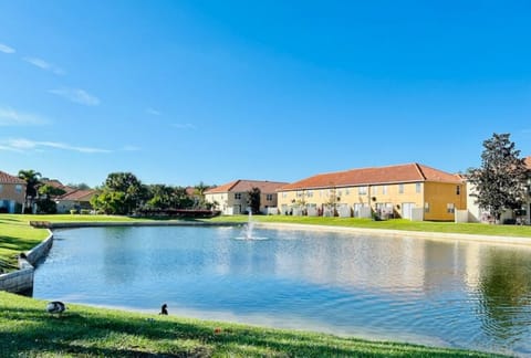 Pond views
