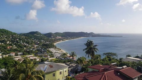 Rooftop view
