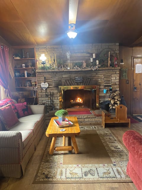 Living room with wood burning fireplace.