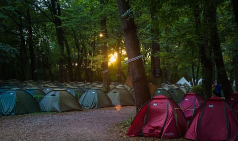 Shared Tent (2 People) | Park view