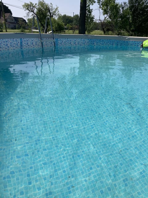 Back yard above ground pool