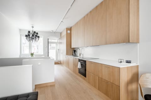 Deluxe Apartment | Private kitchen | Full-size fridge, microwave, oven, stovetop