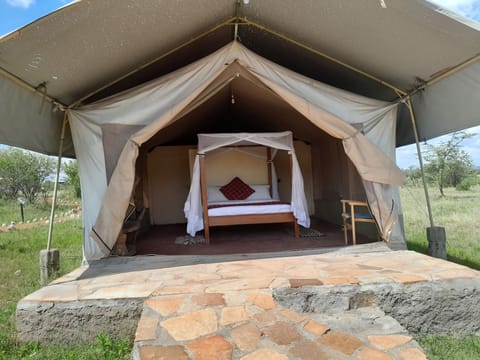 Basic Double Room