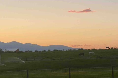 C73a8815 12b2 43ea b883 6a8486a53d0d