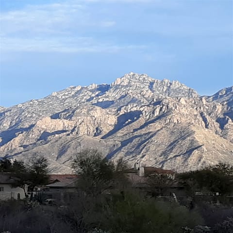 Catalina Mountains.  View from the property.