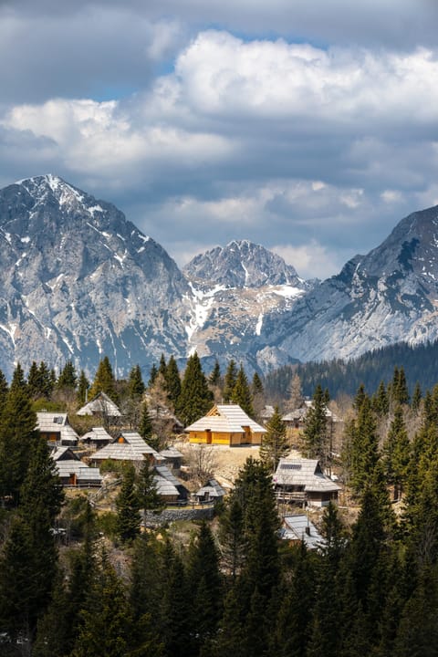 Luxury Cabin | View from room