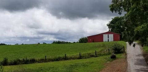 back yard view
